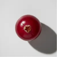 Cranberry Extract